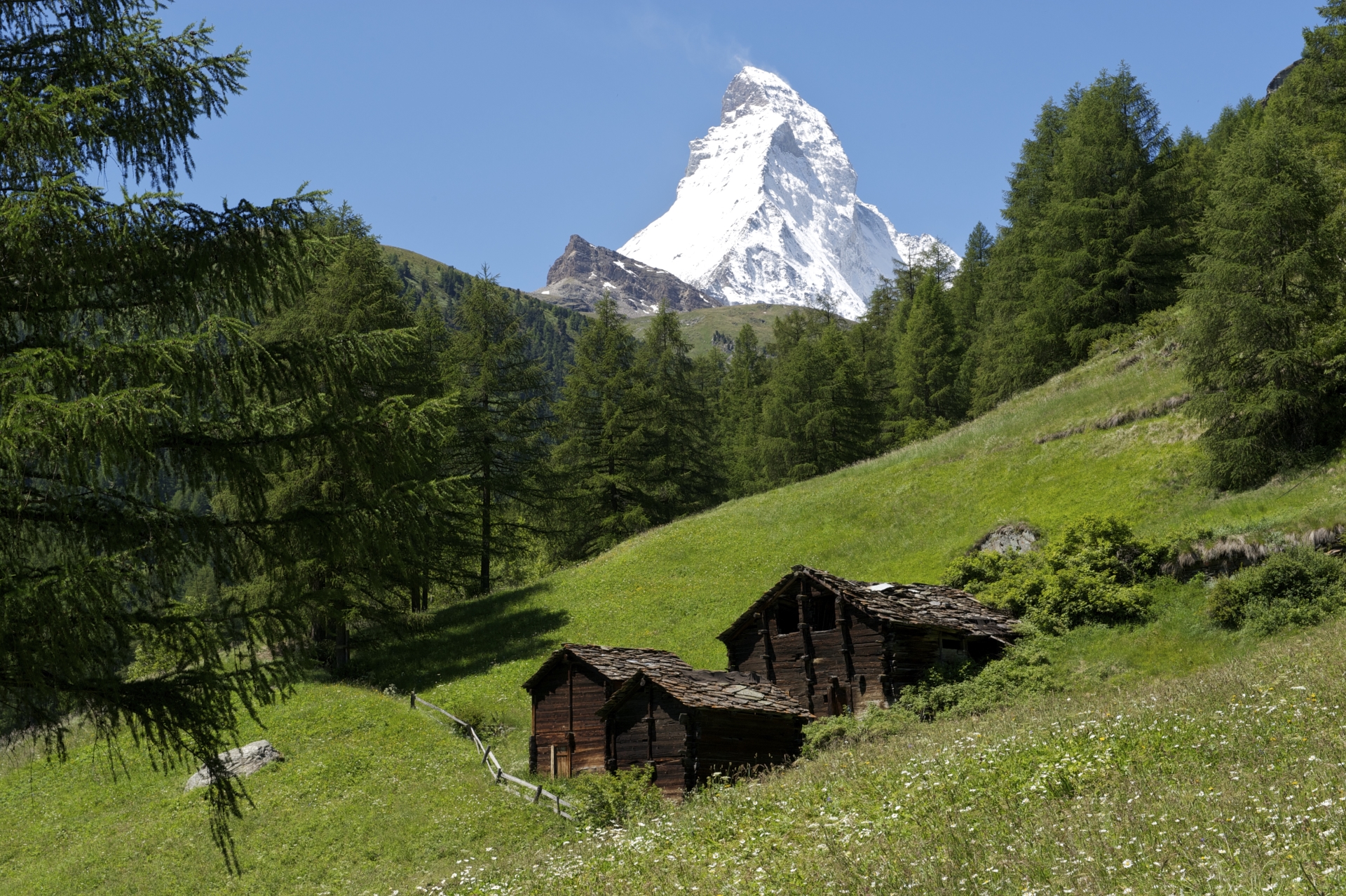 Matterhorn View 