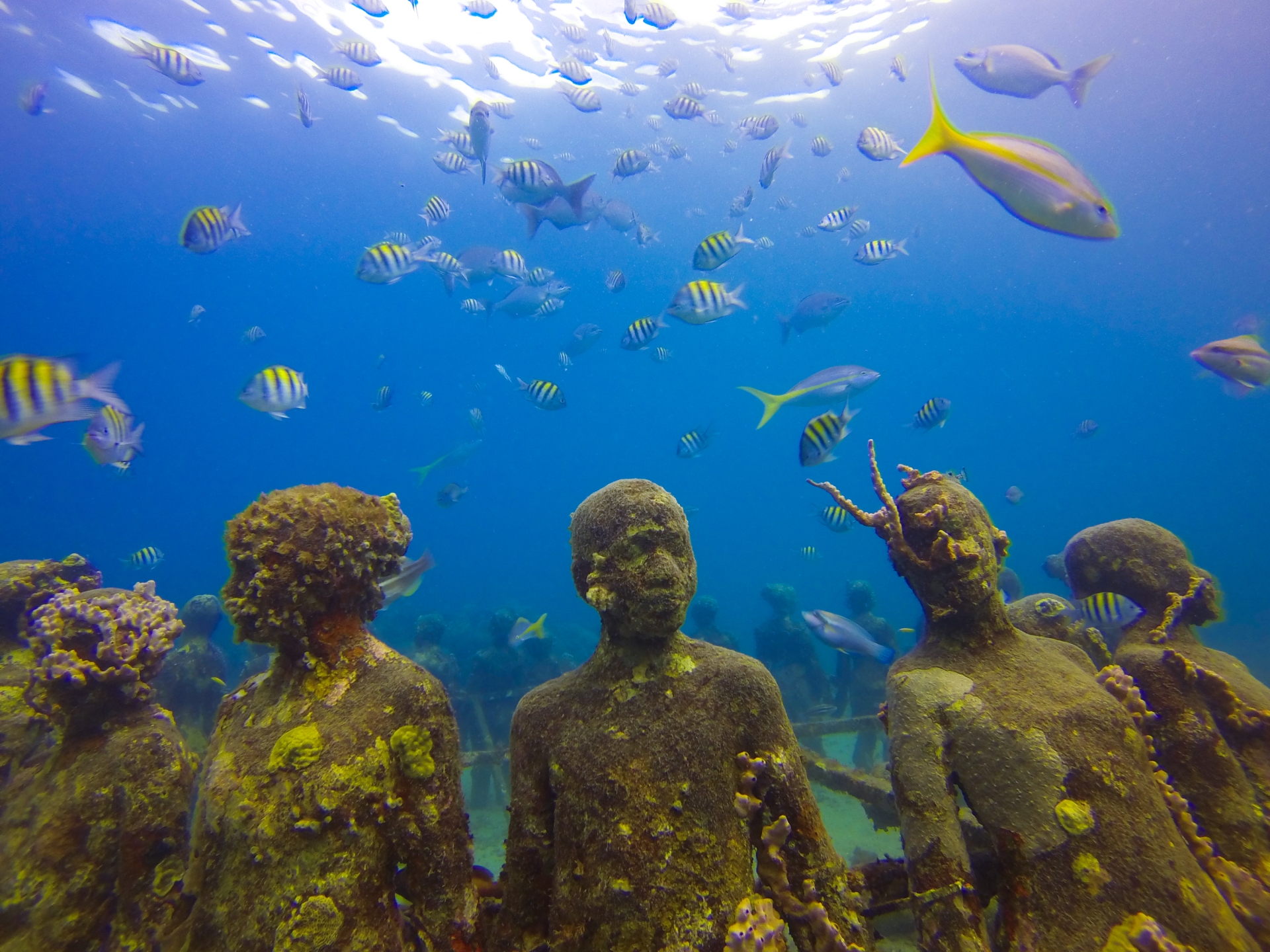 Underwater sculpture park Grenada 