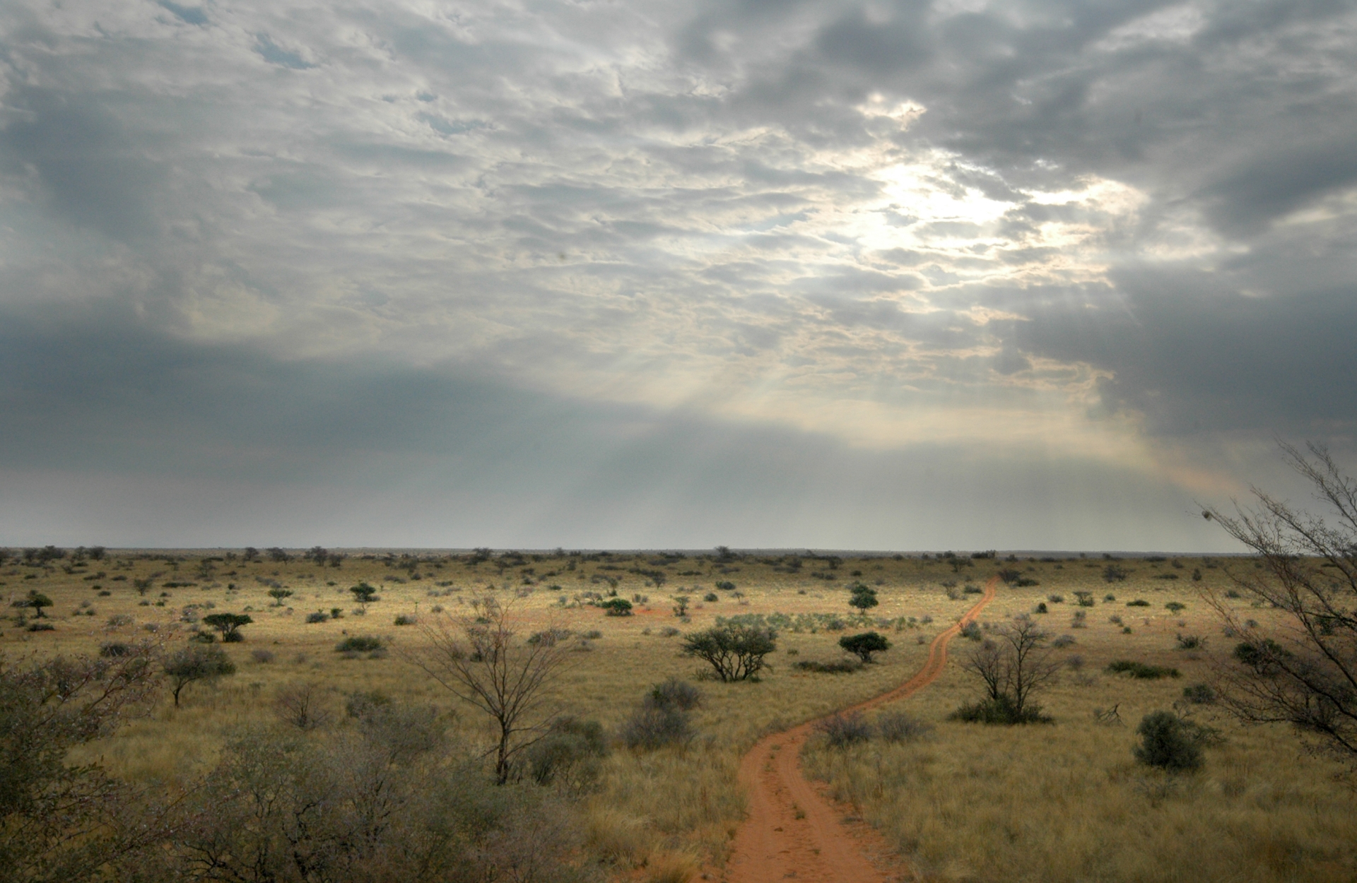 Kalahari Reserve 