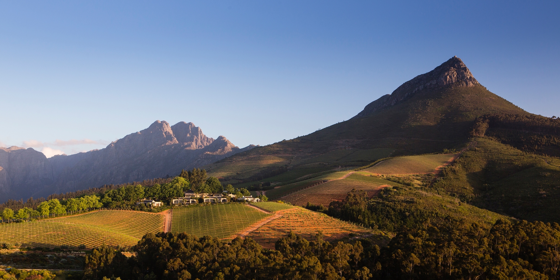 The Winelands 