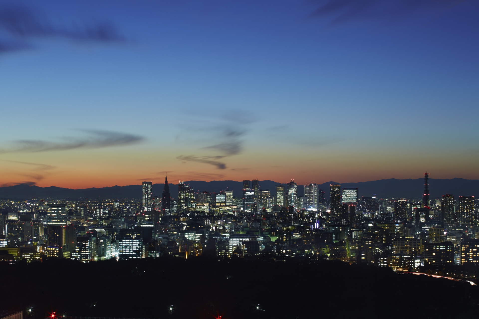 Tokyo views at sunset 