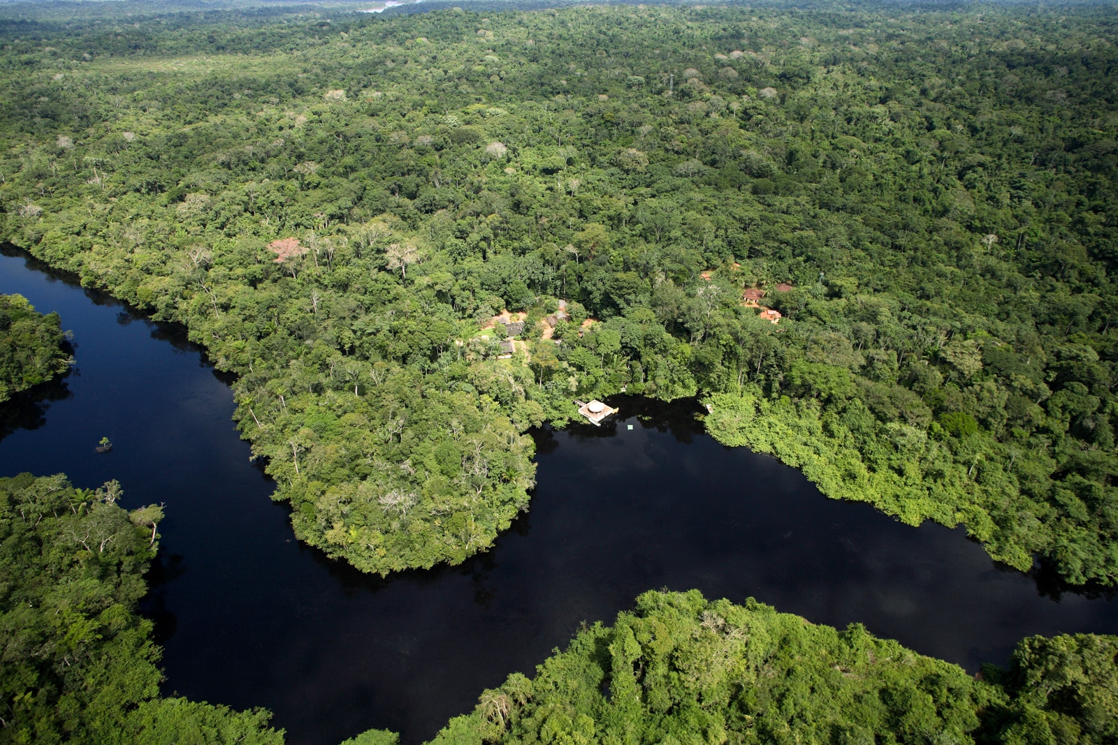 Wild Brazil Amazon  Pantanal Adventure 