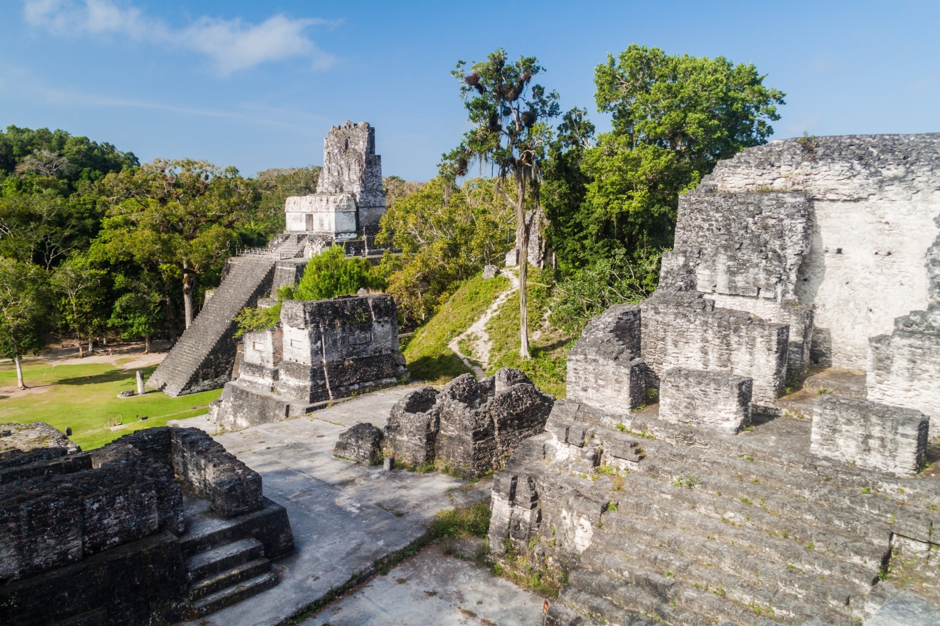 Tikal Ruins  