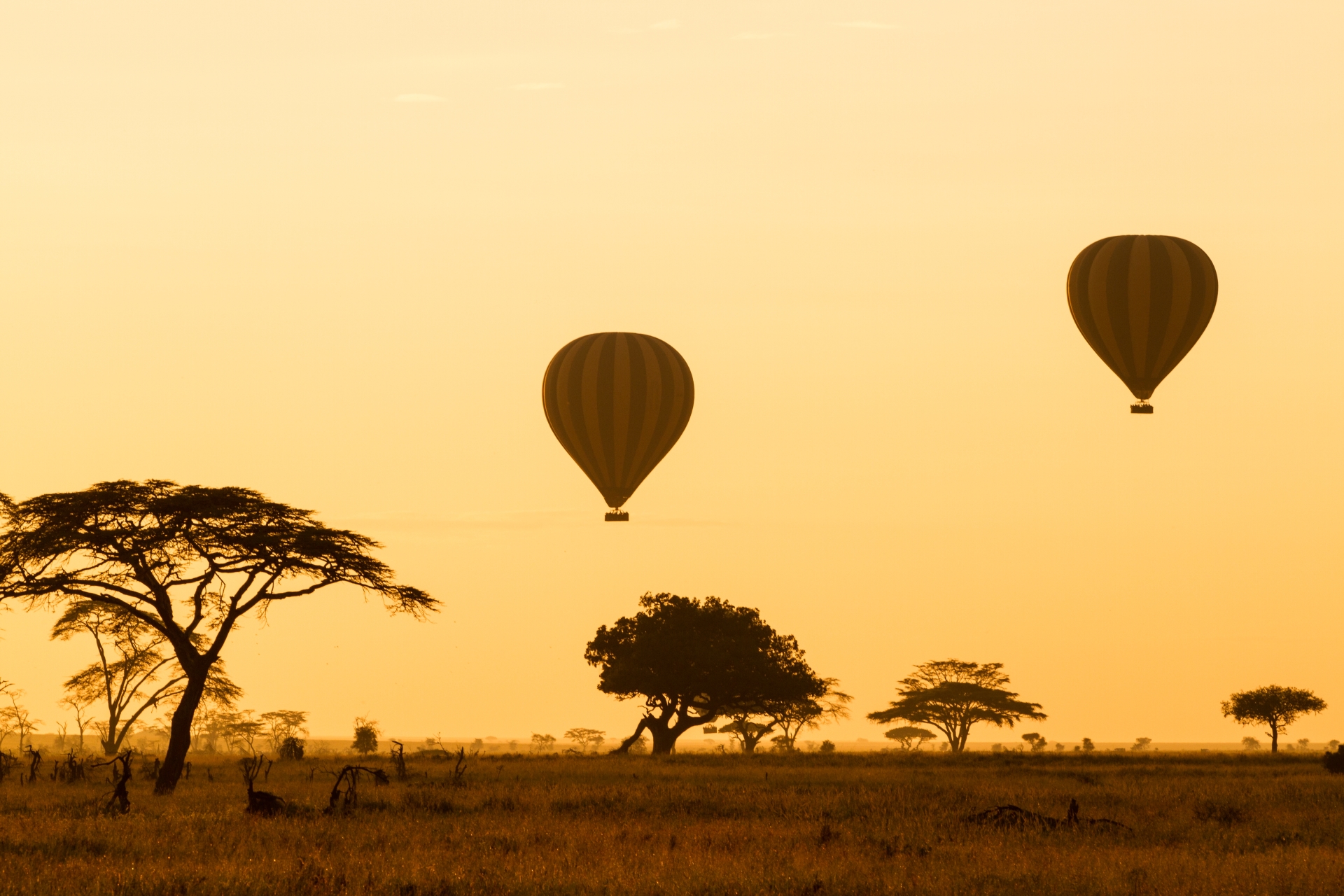 Hot Air Balloon over Serengeti- Northern Tanzania  