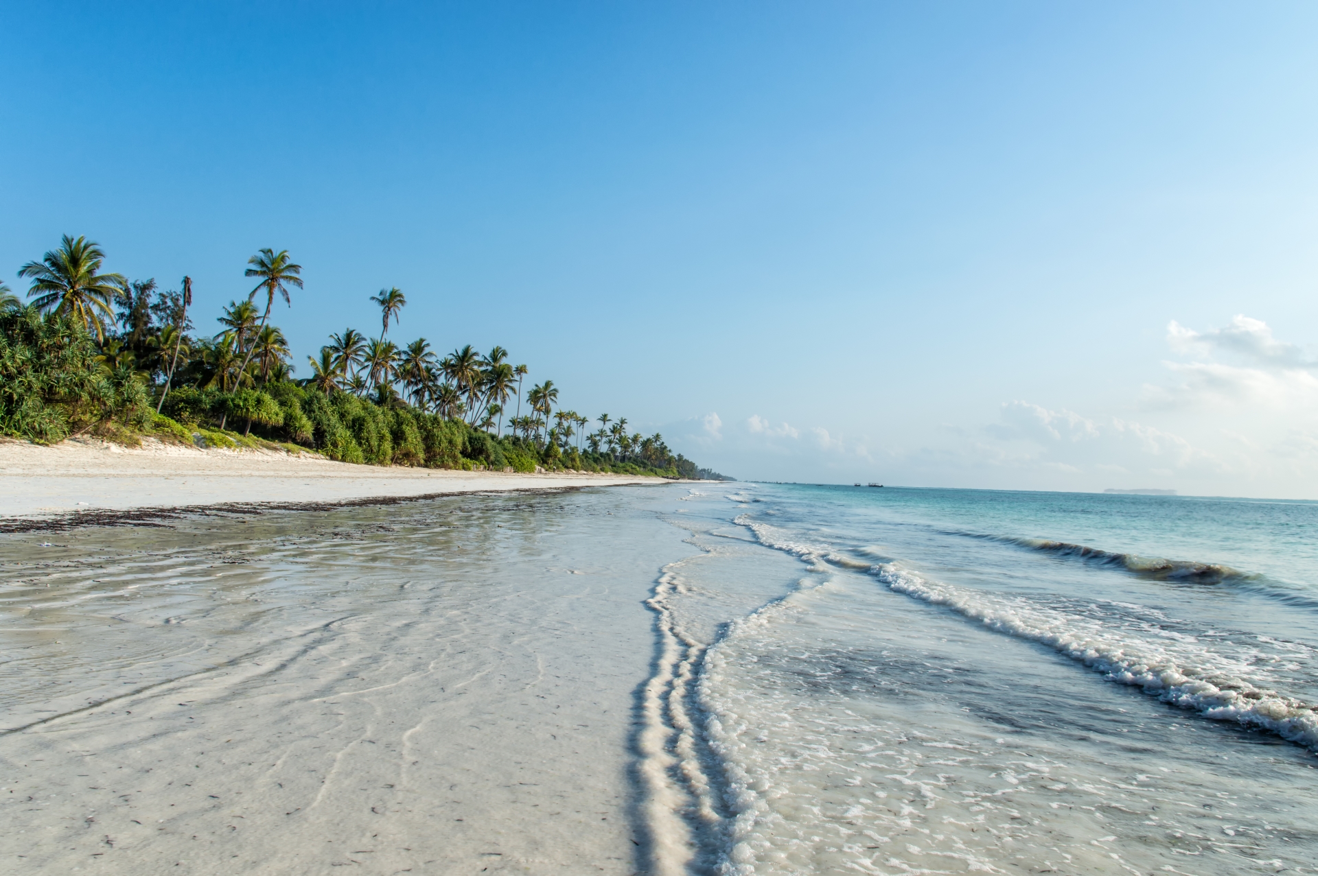 Zanzibar Beach - Northern Tanzania Uncovered 