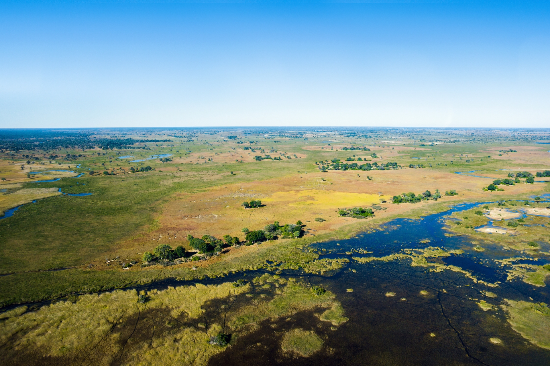 The Okavango Delta - Discover the Okavango Delta