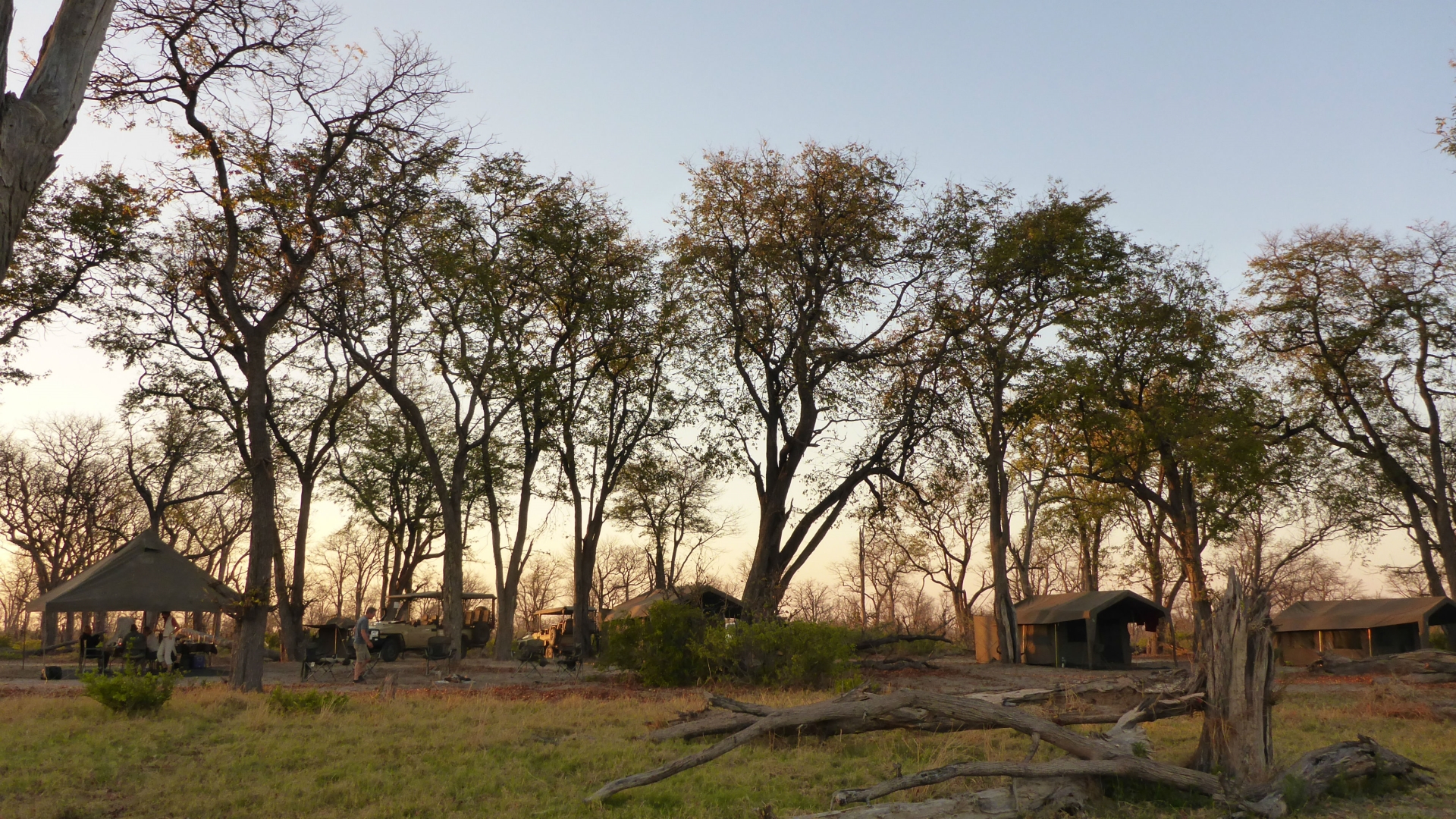 Camp set-up - Wild Botswana 