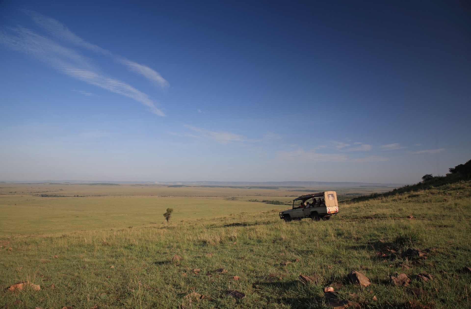 Game drives in the Mara 