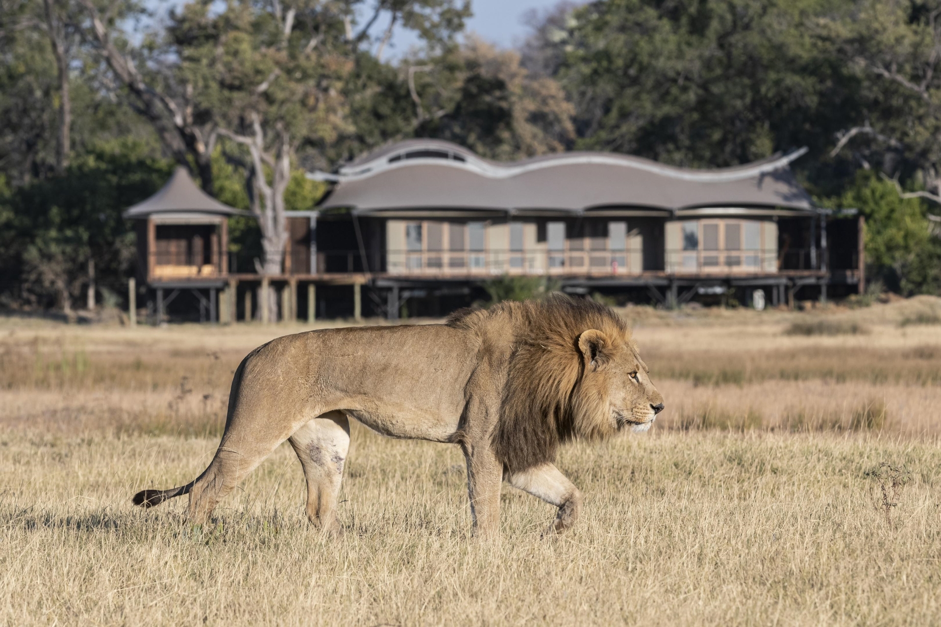 Lodge Neighbours - Xigera Safari Lodge 