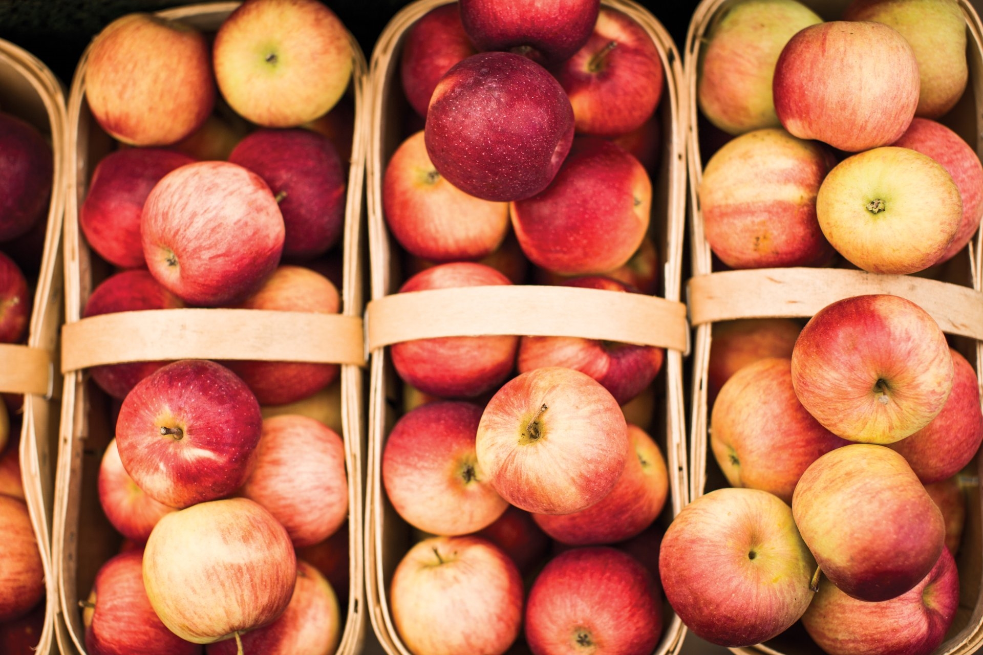Apple Harvest - Gourmet Ontario and Quebec 