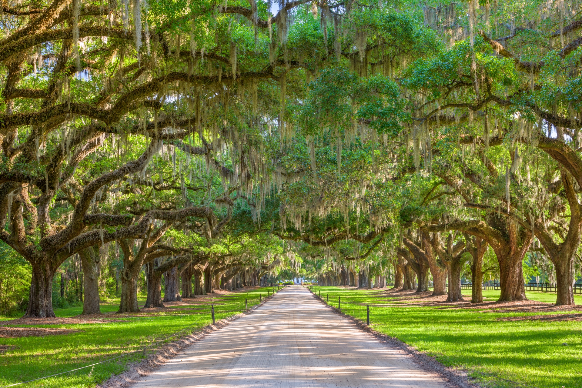 USA tree lined plantation entrance 
