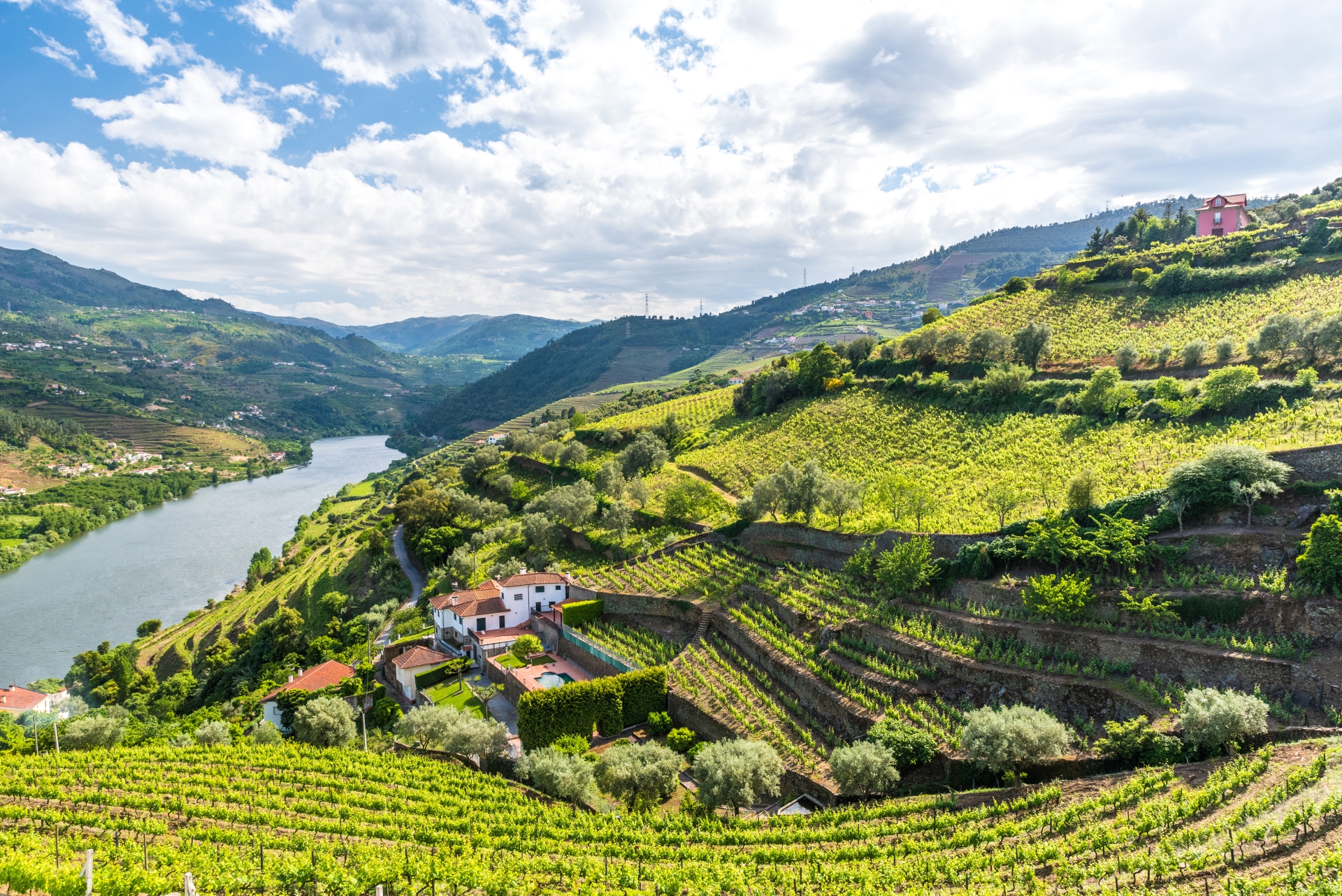 Perfect Pairings: Porto & Douro Valley